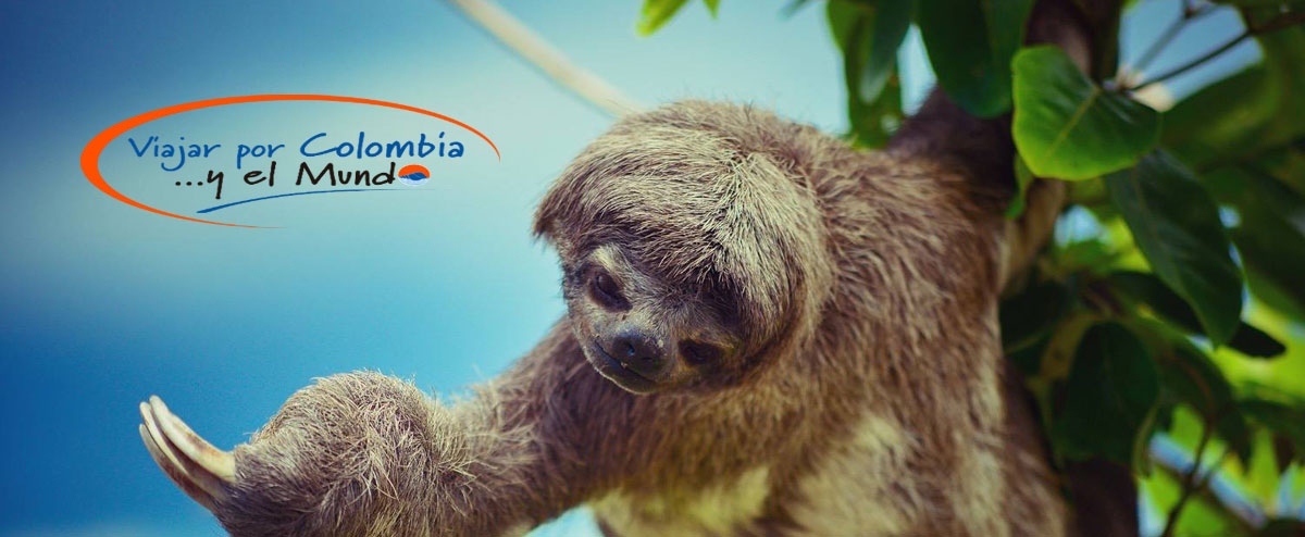 CHIPICHAPE - VIAJAR POR COLOMBIA Y EL MUNDO